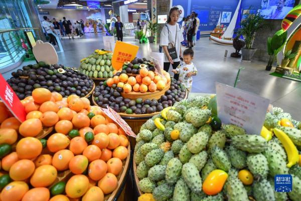 第三届中国-非洲经贸博览会迎来公众开放日