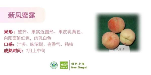 桃子怎么挑选？上海发布官方攻略→