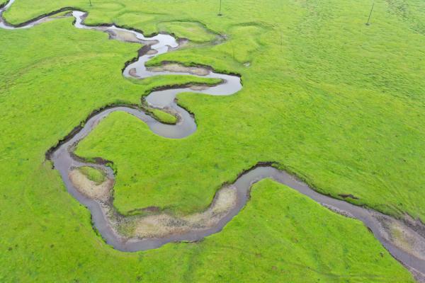 壮美狼渡滩草原