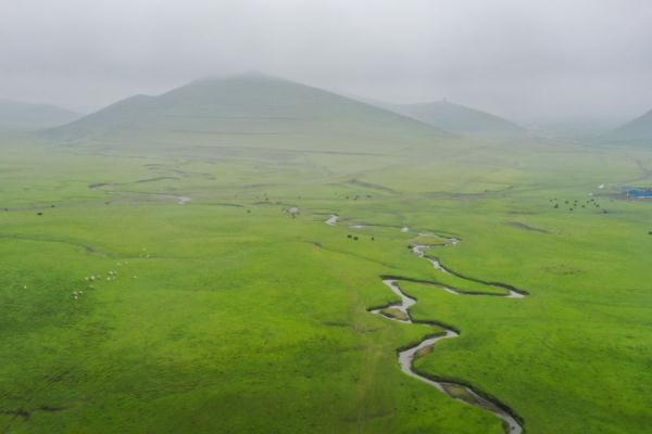 壮美狼渡滩草原