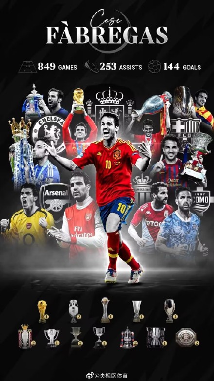 法布雷加斯宣布退役 法布雷加斯宣布退役