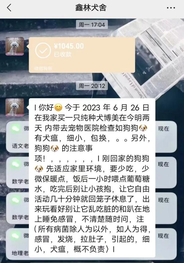 回家4天就病死，贵阳女子怀疑买到“星期狗”！商家：是主人没喂好
