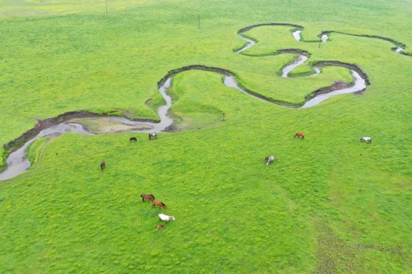壮美狼渡滩草原