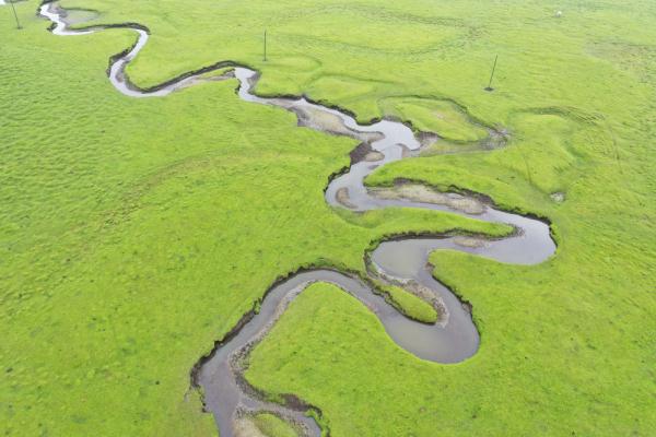 壮美狼渡滩草原