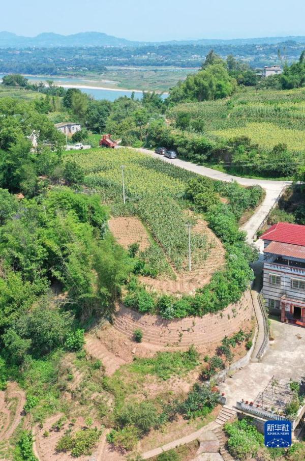 走进长江边的宋代古战场遗址——神臂城