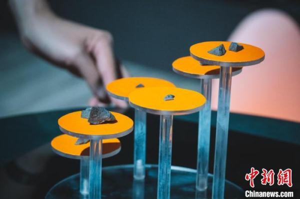 广州发现中国鳄类蛋化石碎片 助力三水盆地古生物学研究 广州发现中国鳄类蛋化石碎片 助力三水盆地古生物学研究