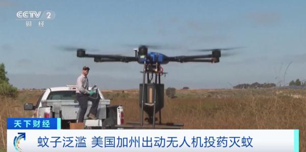 蚊子数量打破历史纪录！这里，出动无人机灭蚊