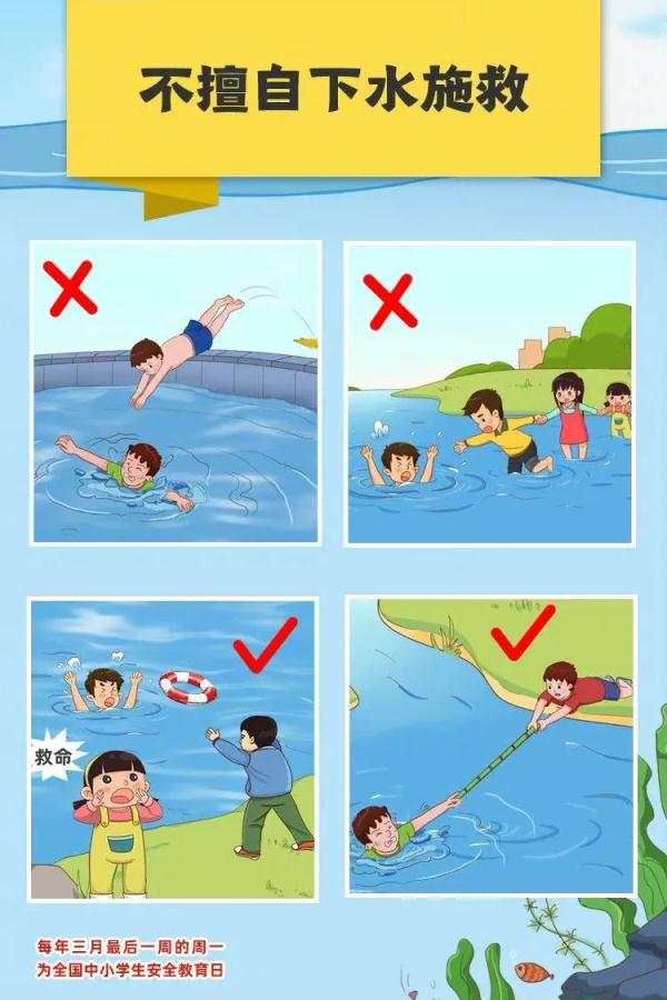 不做“孤泳者”，这些知识请牢记！