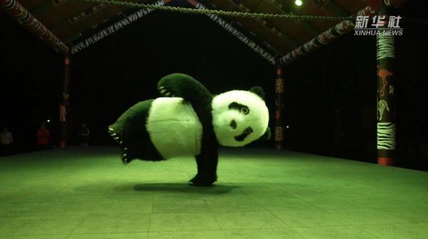 来上海野生动物园看小动物们“上夜班”