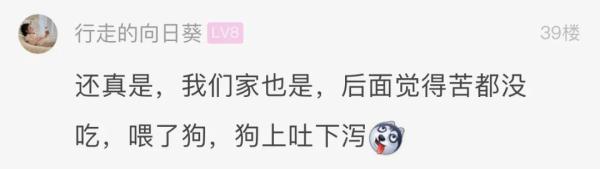 杭州又有人吃中毒,连狗都中招了!提醒:烧菜前先舔一下 杭州又有人吃中毒,连狗都中招了!提醒:烧菜前先舔一下