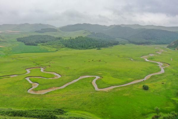 壮美狼渡滩草原