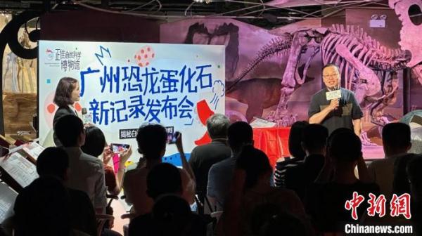 广州发现中国鳄类蛋化石碎片 助力三水盆地古生物学研究 广州发现中国鳄类蛋化石碎片 助力三水盆地古生物学研究