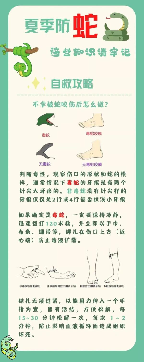 28天150起!常州多地蛇出没 28天150起!常州多地蛇出没