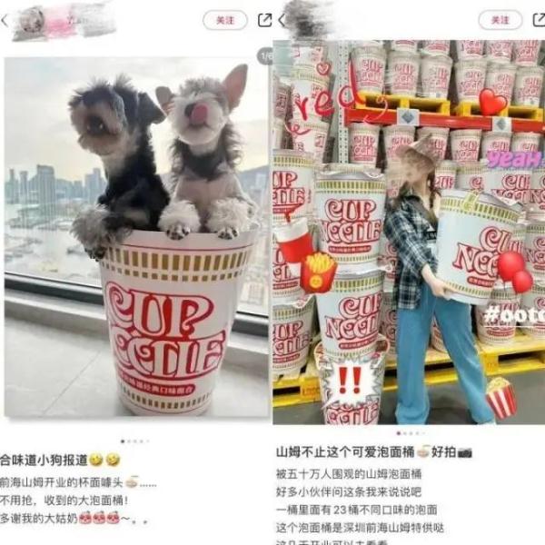 500元一个泡面桶，网友不理解
