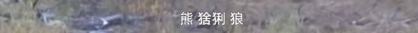 热点 | 90后走出大山又回去“吃苦”,身份“背景”不一般,网友:佩服 热点 | 90后走出大山又回去“吃苦”,身份“背景”不一般,网友:佩服