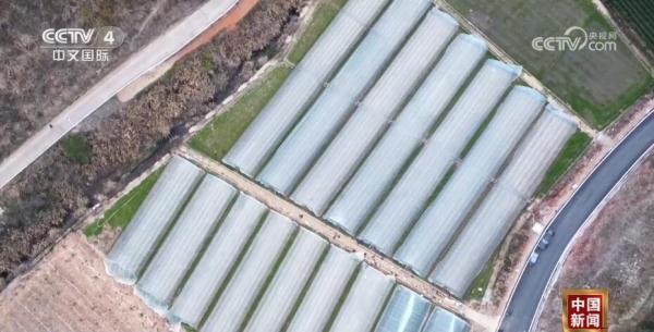 粉丝千万的“非洲李子柒”带动“电商兴农” 新业态激发美丽乡村新活力 粉丝千万的“非洲李子柒”带动“电商兴农” 新业态激发美丽乡村新活力