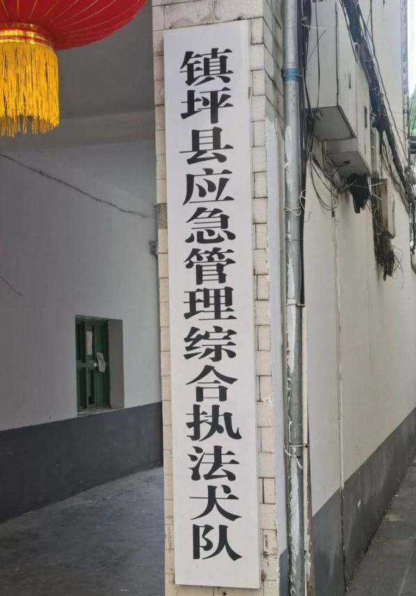 执法大队变执法“犬队” 10岁小孩儿干的…