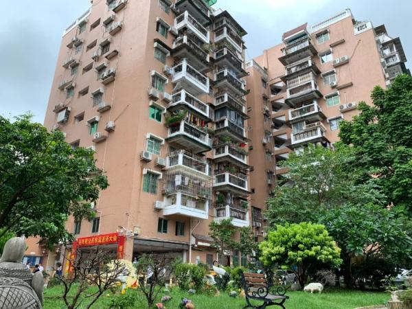 发钱了！广州一小区攒了20万元给业主“分红” 这笔钱你也可以有