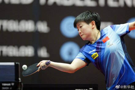 林高远4比3胜樊振东夺冠