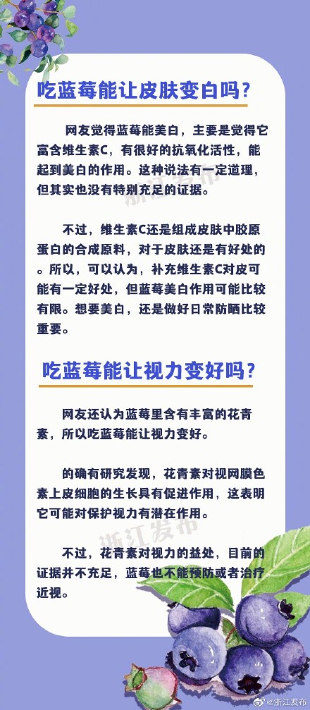 小小蓝莓,功效真的有那么神吗? 小小蓝莓,功效真的有那么神吗?