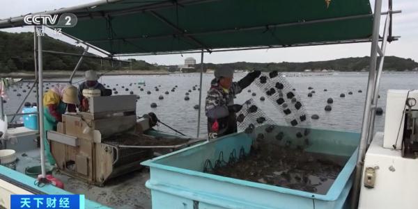 价格持续攀升，一年涨幅超六成！