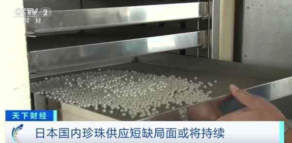 价格持续攀升，一年涨幅超六成！