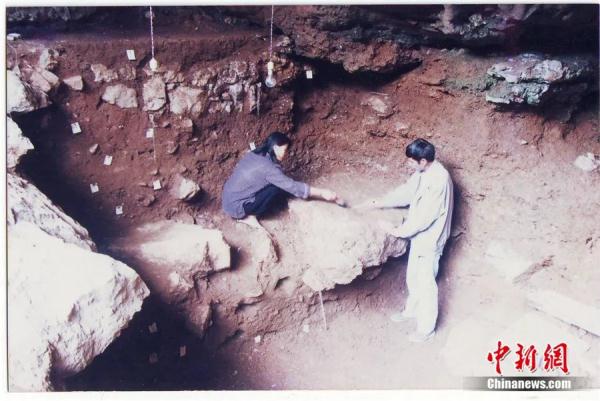 为什么说江西仙人洞与吊桶环遗址实证水稻万年驯化史？