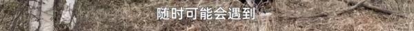 热点 | 90后走出大山又回去“吃苦”,身份“背景”不一般,网友:佩服 热点 | 90后走出大山又回去“吃苦”,身份“背景”不一般,网友:佩服