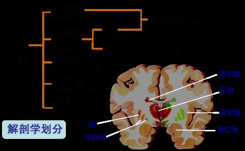 坏情绪才是健康的“最大杀手”  学会这几招调节情绪拥抱健康