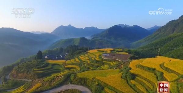 粉丝千万的“非洲李子柒”带动“电商兴农” 新业态激发美丽乡村新活力 粉丝千万的“非洲李子柒”带动“电商兴农” 新业态激发美丽乡村新活力