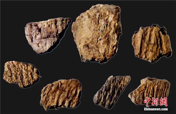 为什么说江西仙人洞与吊桶环遗址实证水稻万年驯化史？