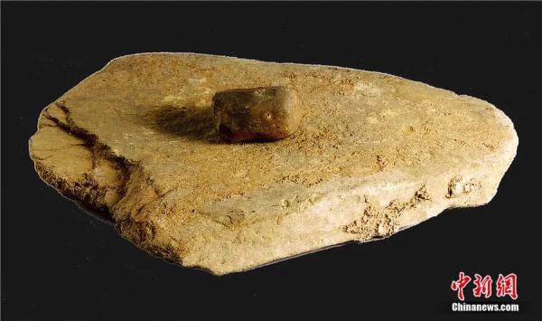 为什么说江西仙人洞与吊桶环遗址实证水稻万年驯化史？