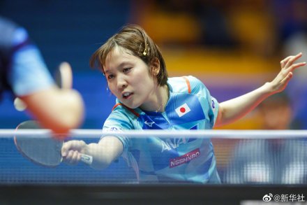 林高远4比3胜樊振东夺冠