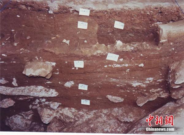 为什么说江西仙人洞与吊桶环遗址实证水稻万年驯化史？