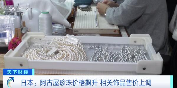 价格持续攀升，一年涨幅超六成！