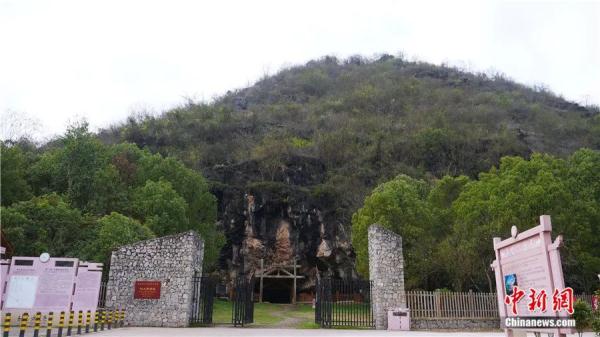 为什么说江西仙人洞与吊桶环遗址实证水稻万年驯化史？