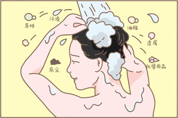 【健康科普】为啥头发每天洗还油？快看！90%的人不知道的洗头误区。