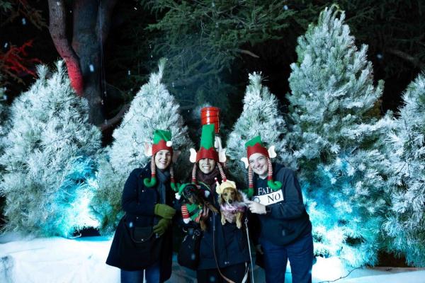 澳大利亚堪培拉：冬季的“圣诞集市”