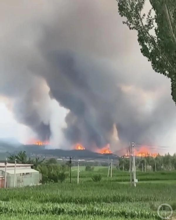 注意！沈阳明天中雨到大雨，局部暴雨！城区主要降水时段为……