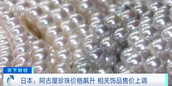 价格持续攀升，一年涨幅超六成！