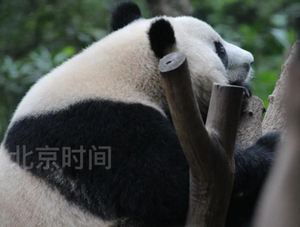 今天,三位顶流过生日! 今天,三位顶流过生日!