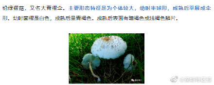 深圳一市民食用绿化带内毒蘑菇后中毒