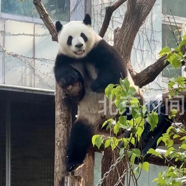 今天,三位顶流过生日! 今天,三位顶流过生日!
