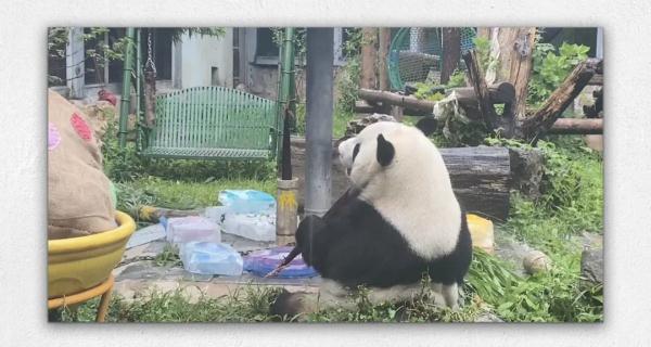 今天,三位顶流过生日! 今天,三位顶流过生日!
