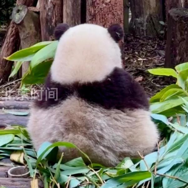 今天,三位顶流过生日! 今天,三位顶流过生日!