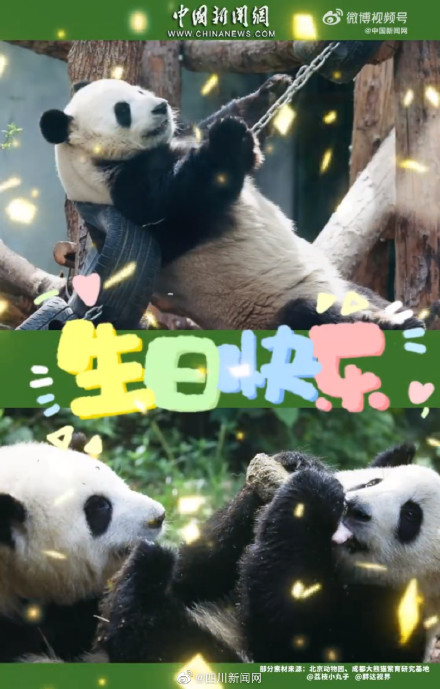 花花和叶生日快乐