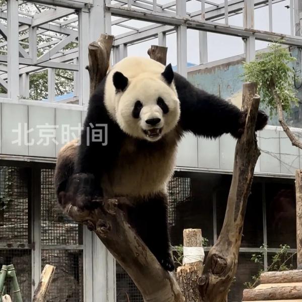 今天,三位顶流过生日! 今天,三位顶流过生日!
