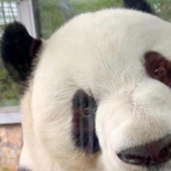 今天,三位顶流过生日! 今天,三位顶流过生日!