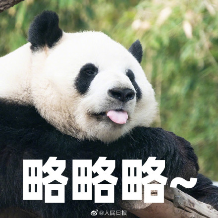 生日快乐！听说今天有三个小熊友过生日