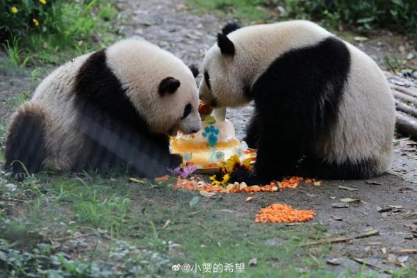 今天,三位顶流过生日! 今天,三位顶流过生日!